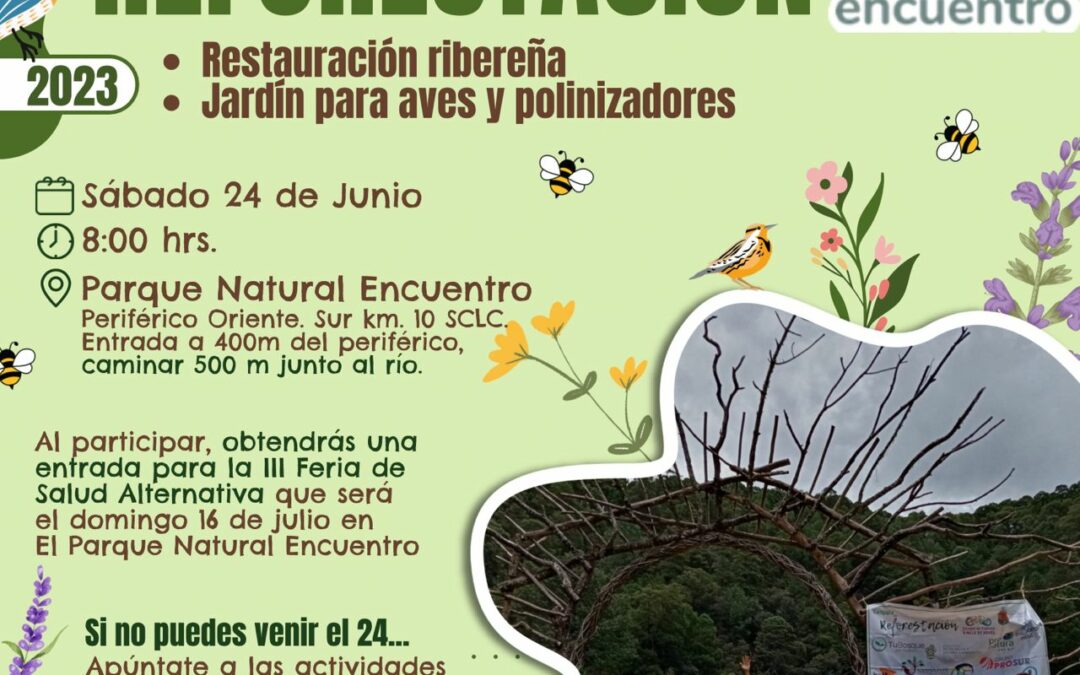 CUARTA Jornada de Reforestación Parque “El Encuentro”