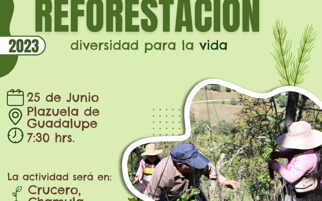 Quinta Jornada de reforestación “Crucero Chamula”