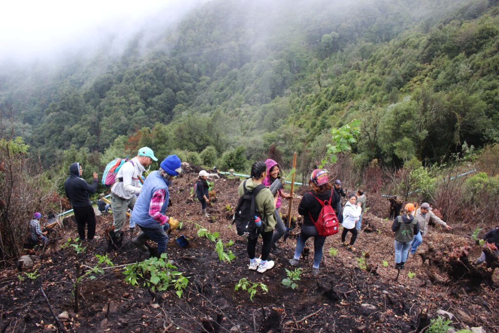 personas reforestando en la cuenca del valle de jovel