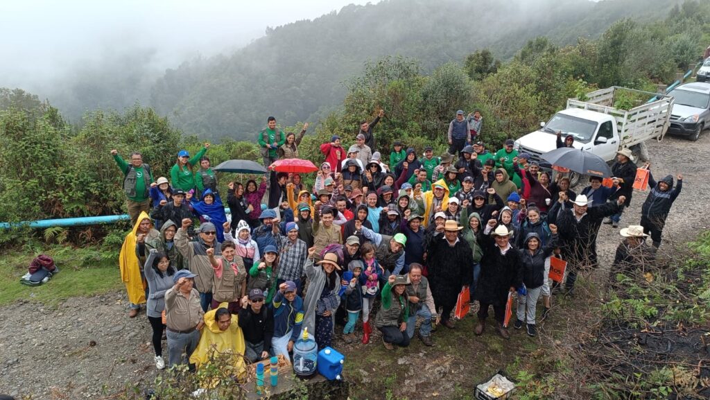 grupo de voluntarios participando en una campaña de reforestación