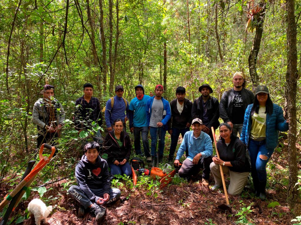 grupo de personas trabajando en la laguna del cochi